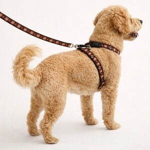 Dog Harness And Leash Set Adjustable For Medium Size Dogs Brown Starfish Print